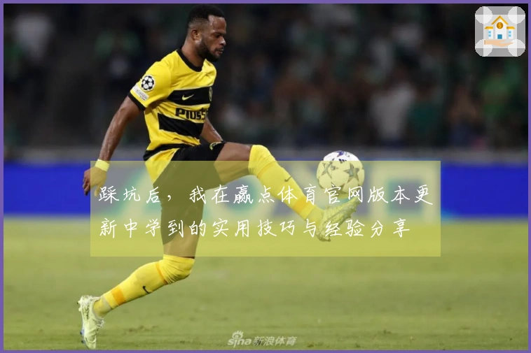 踩坑后，我在赢点体育官网版本更新中学到的实用技巧与经验分享