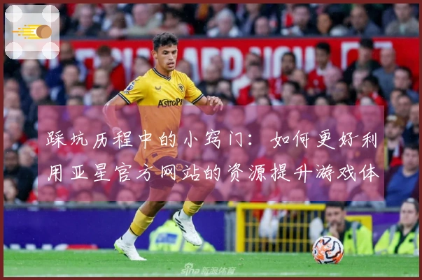 踩坑历程中的小窍门：如何更好利用亚星官方网站的资源提升游戏体验
