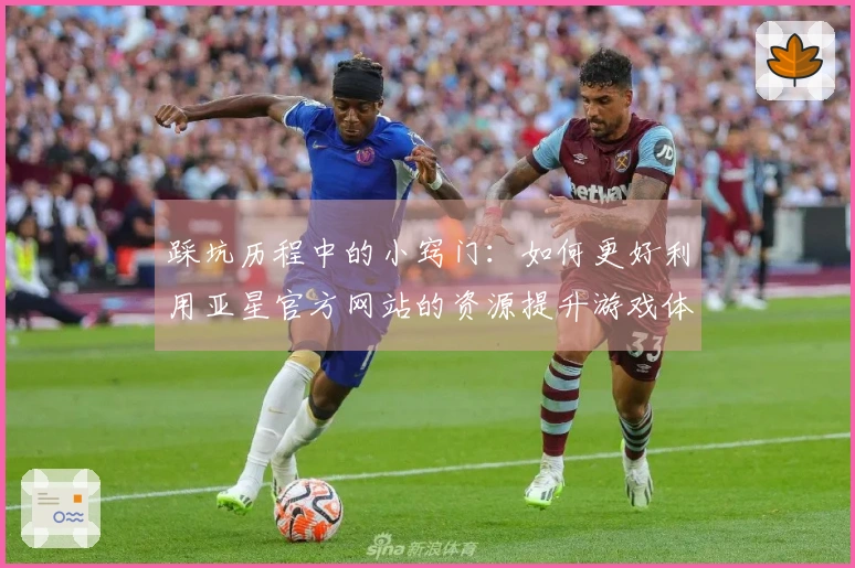 踩坑历程中的小窍门：如何更好利用亚星官方网站的资源提升游戏体验